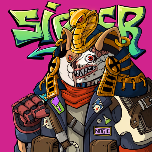 Sipheriansurge