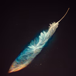 A Drifting Feather