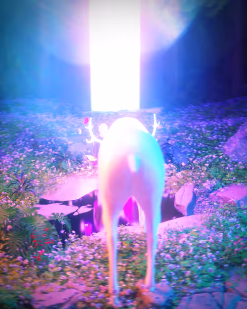 Item #64000200014 Media