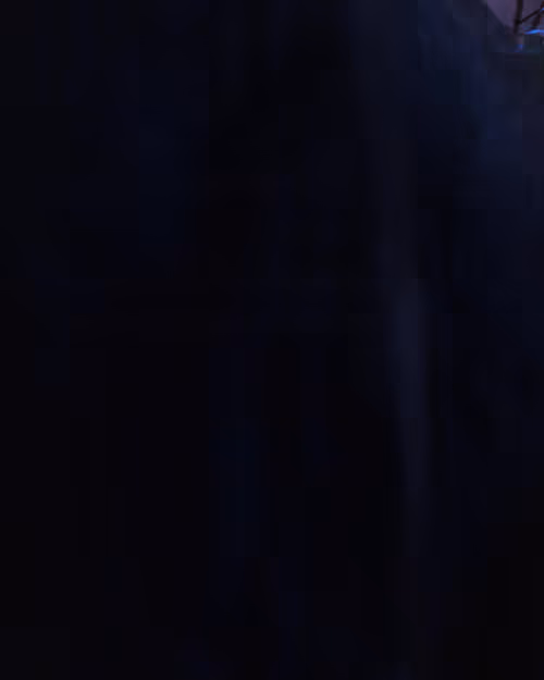 Item #64000600001 Media