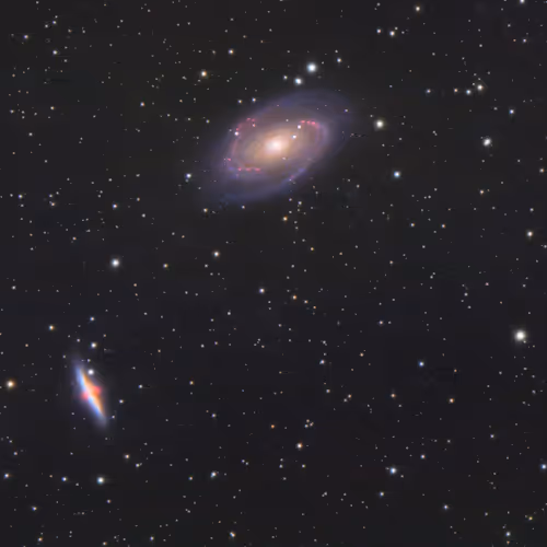 Jason Betzner 1 Year in NFT