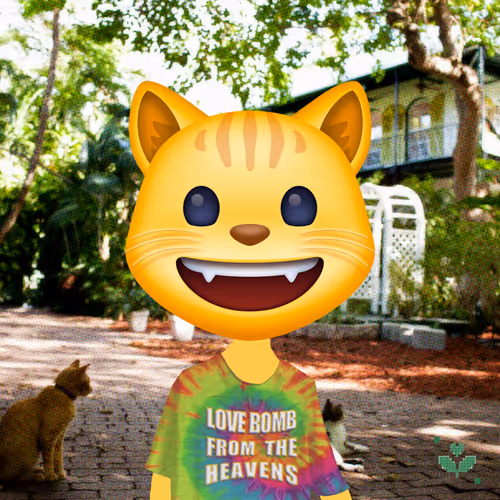 Joycatmaker