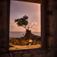 Journey Through Life