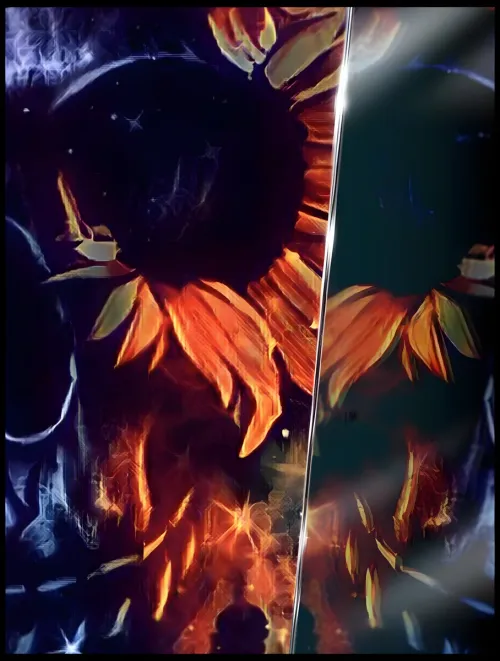 Shades of Reflection