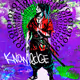 Knowledge 8.4, RONIN Series