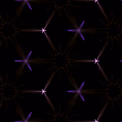 81
