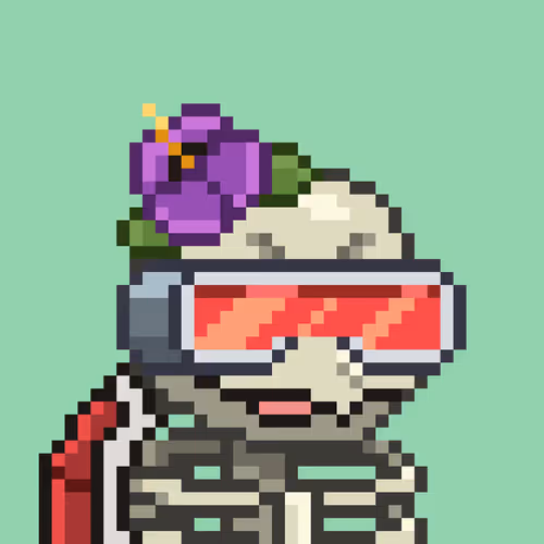 Moonturtlez