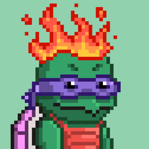 Moonturtlez