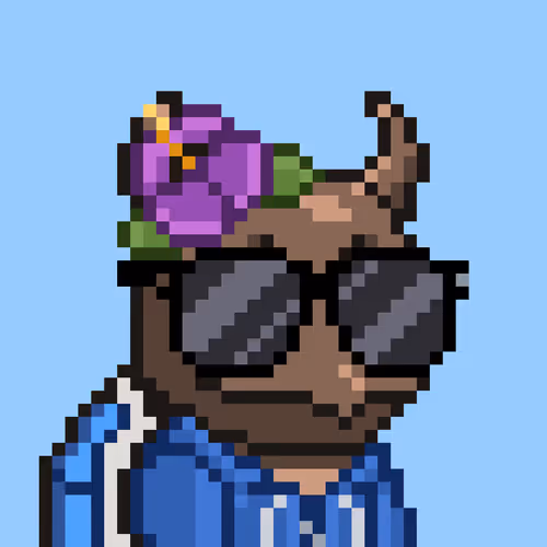 Moonturtlez