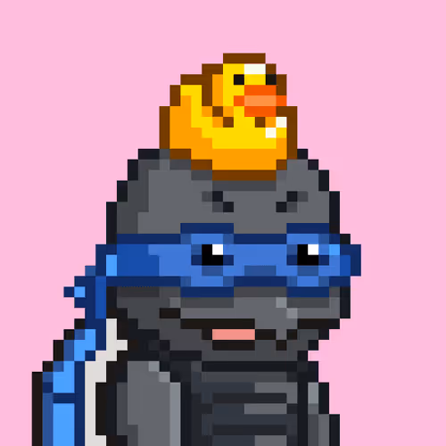 Moonturtlez