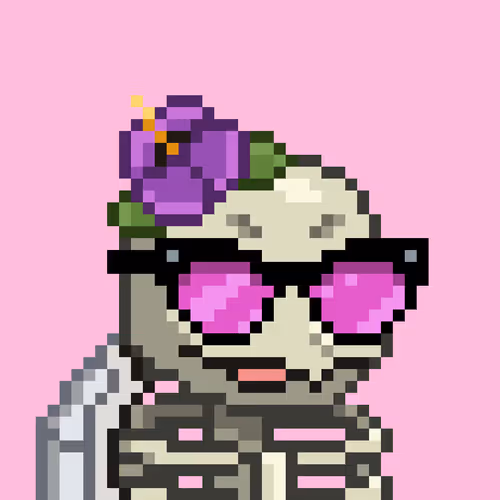 Moonturtlez
