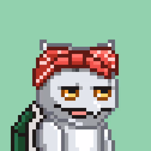 Moonturtlez