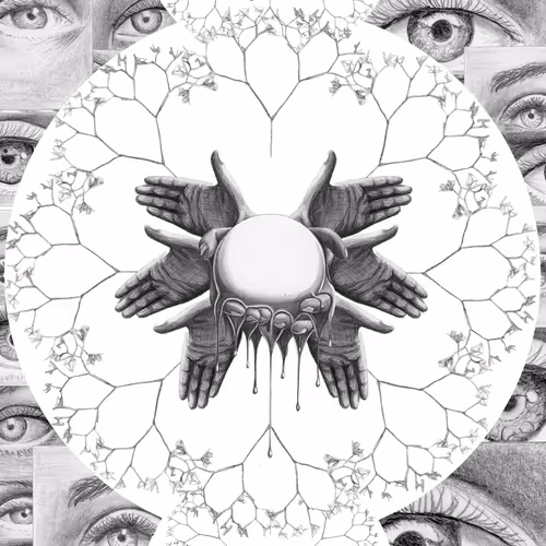 Looking In