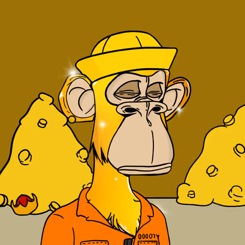 Richapes 2