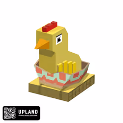 Chicken Egg