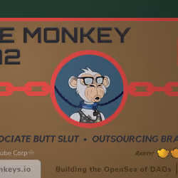 Cube Monkey #3172's Business Card