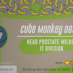 Cube Monkey #8827's Business Card