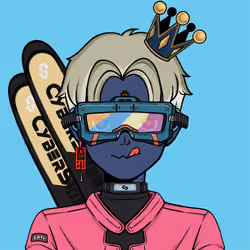 CyberSkier #788