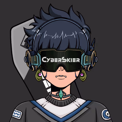 Cyberskier