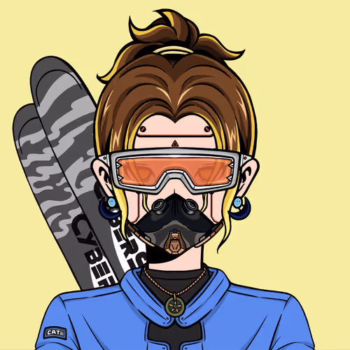 Cyberskier