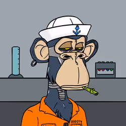 55