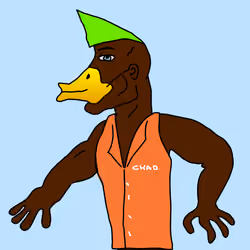 Chad #7893