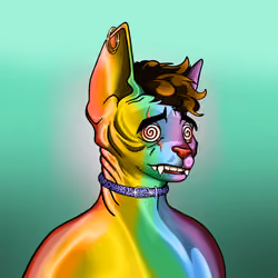 Your Sphynx Cat #5067