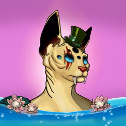 Your Sphynx Cat #5693