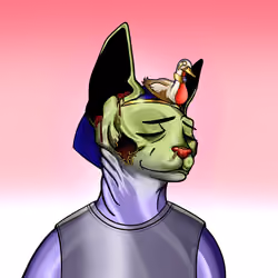 Your Sphynx Cat #262