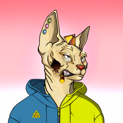 Your Sphynx Cat #6585