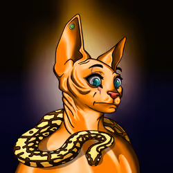 Your Sphynx Cat #435