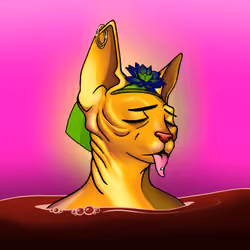 Your Sphynx Cat #993