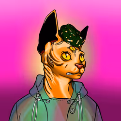 2019