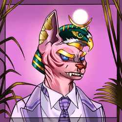 Your Sphynx Cat #8470