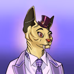 Your Sphynx Cat #2112