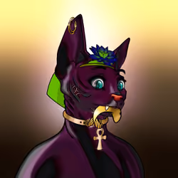 Your Sphynx Cat #7733