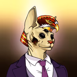 Your Sphynx Cat #7074