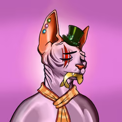 Your Sphynx Cat #2816