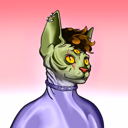 Your Sphynx Cat #293