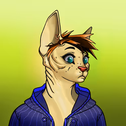 Your Sphynx Cat #5822