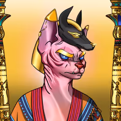 Your Sphynx Cat #9015