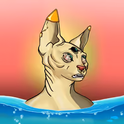 Your Sphynx Cat #3266