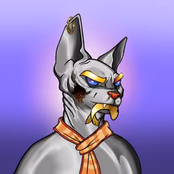 Your Sphynx Cat #4282