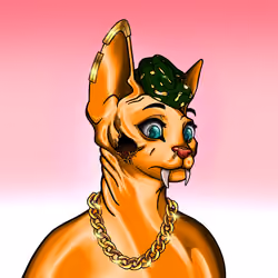 Your Sphynx Cat #3227