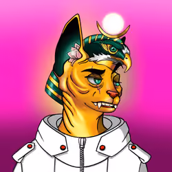 Your Sphynx Cat #295
