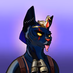 Your Sphynx Cat #5097