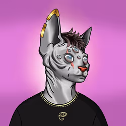 Your Sphynx Cat #2094
