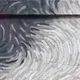 101