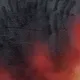 51