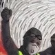 63
